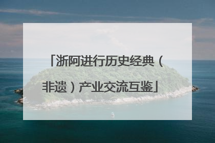 浙阿进行历史经典（非遗）产业交流互鉴